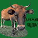 ���� �����, �������, 27 ��� - ��������� 4 ������� 2012 � ������ �������