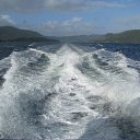 ���� �����, �����, 65 ��� - ��������� 14 ������ 2010 � ������ ��������� ���������� �� �����������.�