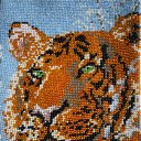 ���� ����, ��������, 36 ��� - ��������� 15 ��� 2011 � ������ ���� ������ �� ������