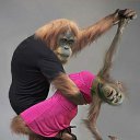 ���� �������, ���������, 46 ��� - ��������� 16 �������� 2011