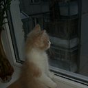 ���� ������, ��� - ��������� 13 ������� 2012 � ������ ������
