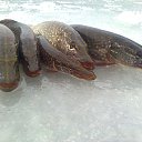 ���� ���������- ���� �������� !!, ������ - ��������� 9 ������� 2013 � ������ �9 ������� 2013� !!!!�