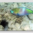 ���� ����� - ���������� ��������!!!, �����������, 56 ��� - ��������� 12 ������ 2010 � ������ ������