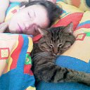 ���� �����, ������ - ��������� 8 ������ 2013