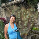 ���� �������, ���������, 59 ��� - ��������� 10 ������� 2011 � ������ ���� ����������