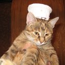 ���� ���������� ����� �� ������� ���� �����