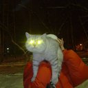 ���� �������, ������������, 42 ���� - ��������� 20 ������ 2011 � ������ ���� ����� � ���-�������.�