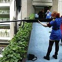 ���� George, �������, 52 ���� - ��������� 27 ������ 2011 � ������ �:)�