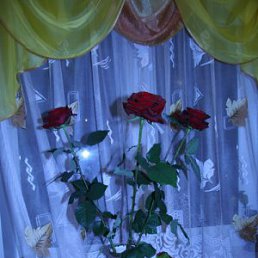 ���� �������� ����������, �������������, 81 ��� - ��������� 2 ������� 2011