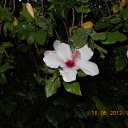 ���� ����, �����, 60 ��� - ��������� 9 ���� 2012 � ������ ��Ψ ����������� � ������ܻ