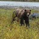 ���� ��������, ���������, 70 ��� - ��������� 15 ����� 2013 � ������ �� ������ � ��������� �����