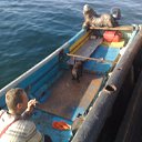 ���� �������, ��������� - ��������� 30 ����� 2012 � ������ ���� ����������