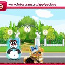 ���� ���(������), ����, 39 ��� - ��������� 6 ������ 2010 � ������ �PetLove�
