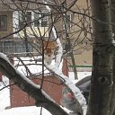 ���� ��������, ������ - ��������� 8 ����� 2011 � ������ �����-���