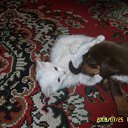 ���� ���������, ����������, 35 ��� - ��������� 26 ������ 2011 � ������ ���������=)�