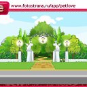 ���� �����, ���� - ��������� 24 ������� 2010 � ������ �PetLove�