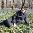 ���� �������, ������, 65 ��� - ��������� 15 �������� 2011 � ������ ���� ����������