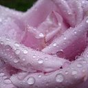 ���� Serg, ����, 59 ��� - ��������� 18 ����� 2012