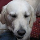 ���� "@����", �����-���������, 25 ��� - ��������� 3 ��� 2010 � ������ ������ ������