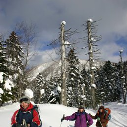 ���� ���������( �� �������� � �� �����)), ��������, 62 ���� - ��������� 3 ������� 2011