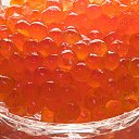 ���� ���������, ������, 56 ��� - ��������� 21 ������� 2012 � ������ ������