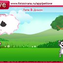 ���� ����, ������, 39 ��� - ��������� 13 �������� 2010 � ������ �PetLove�