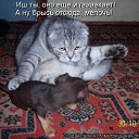 ���� ������� ( ������ �������...........), ��������, 53 ���� - ��������� 29 ������� 2009 � ������ ���� ��������