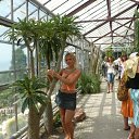 ���� �����, �����, 43 ���� - ��������� 30 ������ 2009 � ������ �����