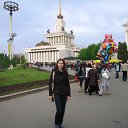  D.s., , 38  -  7  2013    2008, //ֻ