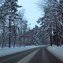 ���� ���, �����-��������� - ��������� 8 ������ 2010 � ������ �...������
