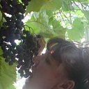 ���� �������, ������ - ��������� 29 ���� 2012 � ������ ���� ����������
