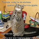 ���� ���, �����, 42 ���� - ��������� 12 ������� 2011 � ������ ���� ������������