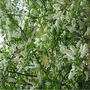 ���� ���� ����, ����������, 50 ��� - ��������� 19 ����� 2010 � ������ ������-2009�