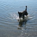 ���� �������, ����������, 39 ��� - ��������� 28 ������ 2012 � ������ ���� ����������