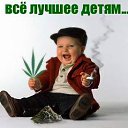 ���� �����, ������, 48 ��� - ��������� 12 ������� 2013 � ������ ���� ����������