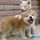 ���� �����, ���� - ��������� 26 ������� 2013 � ������ ���� ������ ������� �����, ��� ������ �������� ������)))�