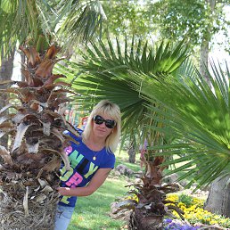 ���� ���, ������, 50 ��� - ��������� 16 ���� 2013