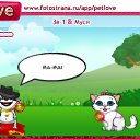  Dy@®,  -  26  2010   PetLove