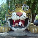 ������ ���� �� ������� ������� ������ 2009�