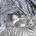 ���� �������, ��������, 53 ���� - ��������� 11 ���� 2013 � ������ ���� ����������