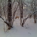 ���� ������, ������, 58 ��� - ��������� 4 ������ 2011 � ������ �����,��� � �.�.�