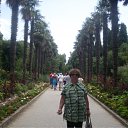 ���� ���������, ���, 65 ��� - ��������� 23 ������� 2011 � ������ ���� ����������