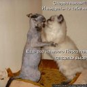  , -, 36  -  24  2010   