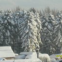 ���� �����, ��������� ������, 59 ��� - ��������� 5 ��� 2012 � ������ ���� ����������