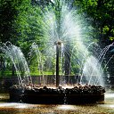 ���� �����, ������, 49 ��� - ��������� 3 ������� 2010