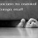 ���� ������, ������ - ��������� 14 ��� 2013 � ������ ���� ����������