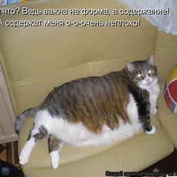 ���� ������, �����-��������� - ��������� 11 ������ 2012