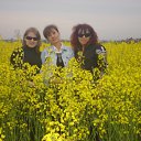 ���� ������, ������������, 56 ��� - ��������� 8 ��� 2010 � ������ ���� ����������