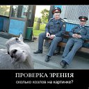 ���� Armageddon, ��������, 43 ���� - ��������� 2 ������ 2010 � ������ �������
