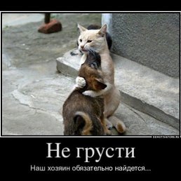 ���� �����, ����-�����������, 34 ���� - ��������� 10 ����� 2012